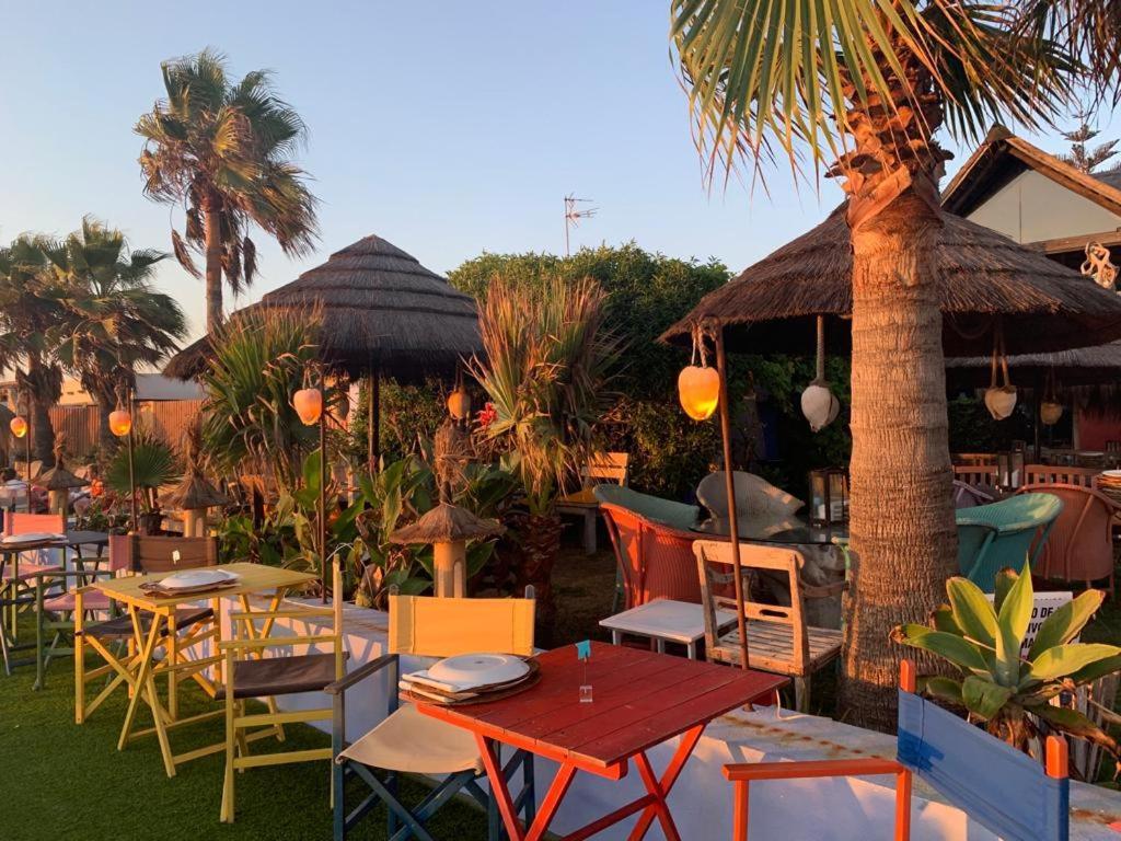 Costa Ballena, 1ª Linea De Playa 3 Dorm Y Parking 外观 照片